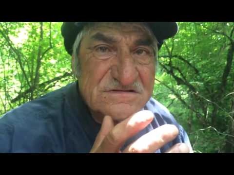 ნადირი ვარ ნადირი !