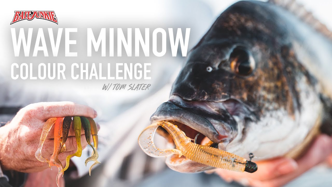 Catching Fish on Every Colour | Bait Junkie Wave Minnow