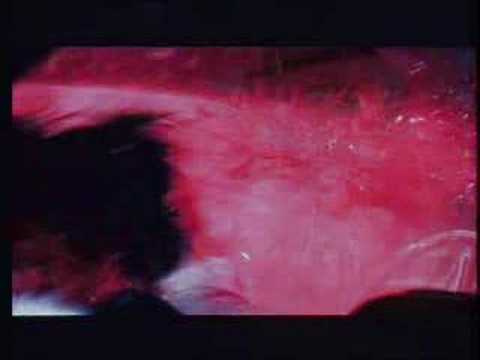 Viscera Drip — Viscera Drip's Piquerist