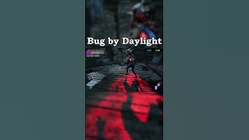Bug by Daylight