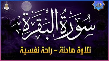 سورة البقرة تلاوة هادئة ومريحه جداً تسمعها قبل النوم😴ارح سمعك وقلبك💙Sourat Al Baqara full