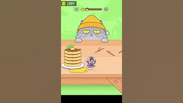 Hide and Seek Cat Escape Level 19 😺