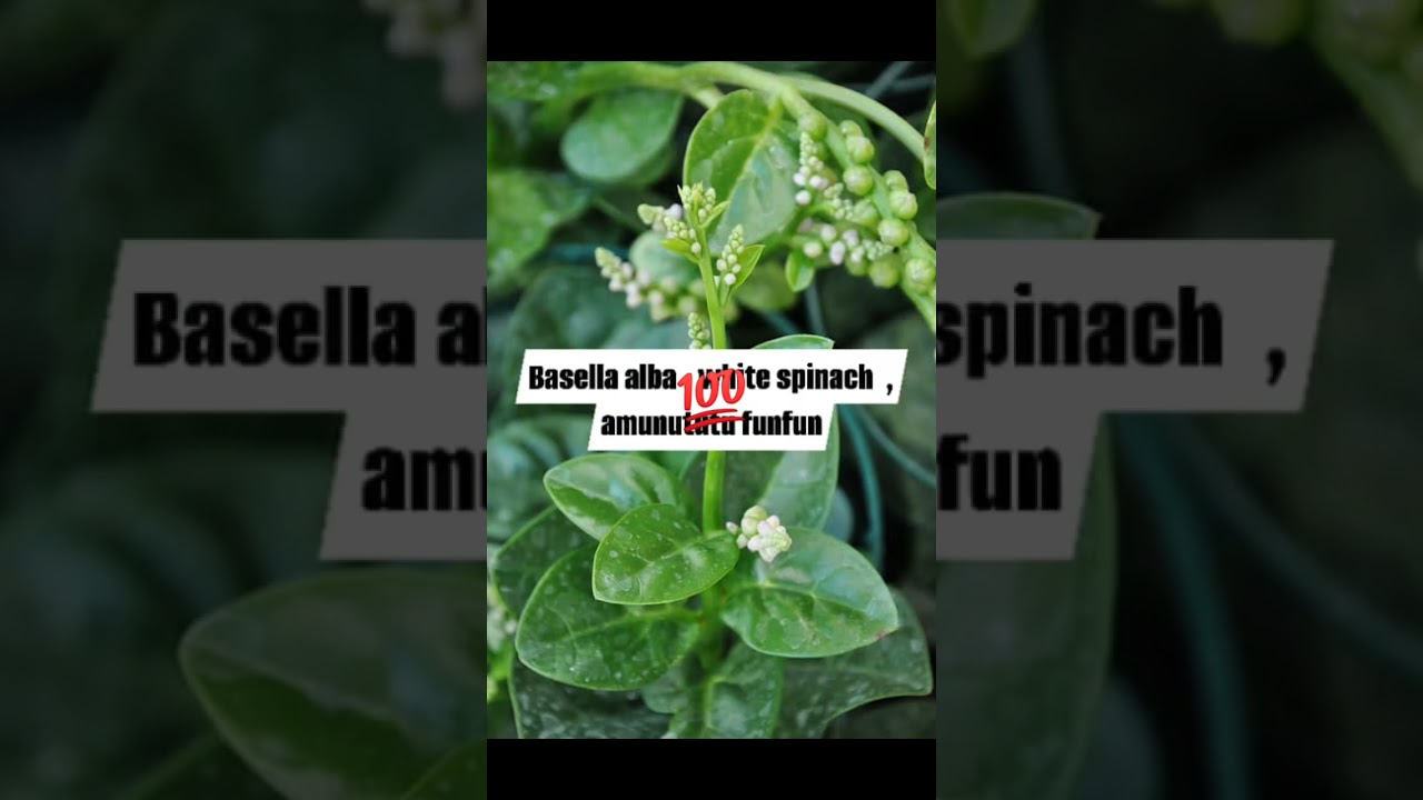 Nigerians are blessed with n natural resources. 