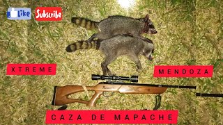 CAZA DE MAPACHE  MENDOZA XTREME 5.5 Y DEL 20