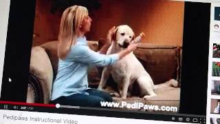 pedipaws video