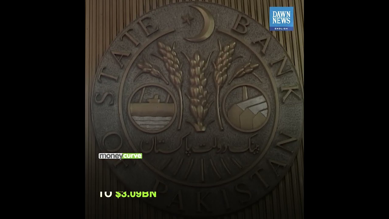 Pakistan Has Reserves To Cover Only 18 Days Of Imports | Money Curve | Dawn News English