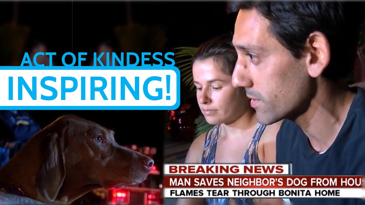 TRULY INSPIRING!!! A man named Blaze rescues dog from burning house in ...