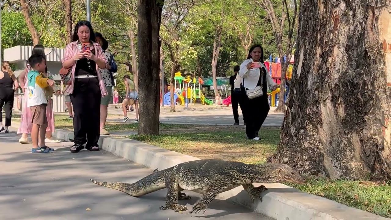 Lumphini Park Bangkok สวนลุมพินี 2026