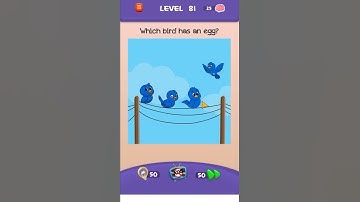 Braindom 3 Level 81 WalkThrough Solution Gameplay || Ajie Gaming