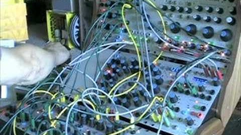 buchla 200e in dub 
