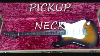 Fender Japan(JV Serial)