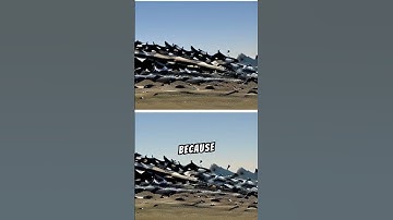 Availability Heuristic