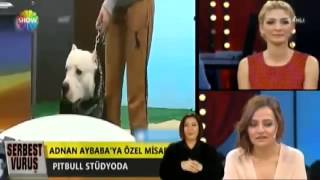 Okan Bayülgen Medya Arkasi - Tvem Serbest Vuruş 7 Mart 2014