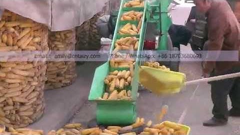 6T/H  large capacity corn sheller maize thresher machine with conveyor