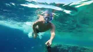 Снорклинг в Египте 2015 - Snorkeling in Egypt 2015