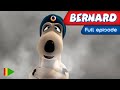 Бернард - 59 - Волшебная лампа | Мультфильмы |