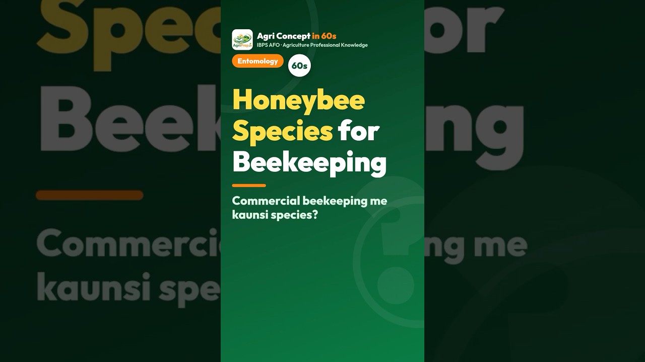 Honey Bee Species in India: Commercial ke liye kaunsi? 🐝 | IBPS AFO Mains 2026