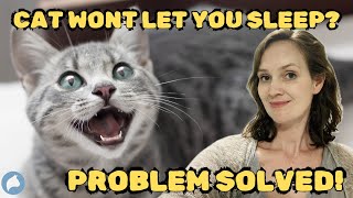 The secret to stopping your cat waking you at night!  Cat behaviourist approved ✅