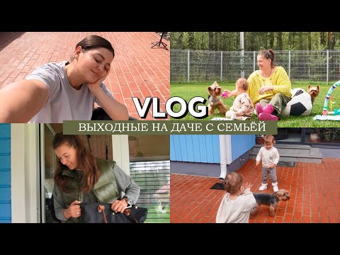 Видео: VLOG // Выходные на даче с семьей и друзьями // Что помогло мне прийти к ЗОЖу и уйти от РПП