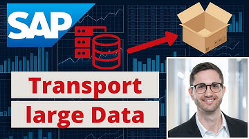 SAP Tip: Include large Data into Customizing Transport