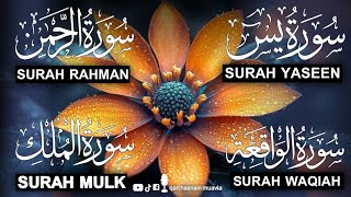 Surah Yasin ❤️ Surah Rahman , Surah Waqiah , Surah Mulk | Ep 136,یس