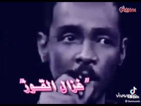 غزال القوز
