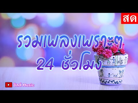 🎶LIVE 🔴สด รวมเพลงเพราะๆ ฟังเพลงออนไลน์ ตลอด 24 ชั่วโมง🎧🎶🎶🎶 #ไม่มีโฆษณา