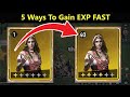 5 ways to gain exp fast in viking rise  viking rise tips