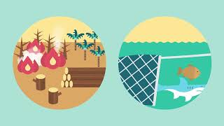 Environmental animated explainer video