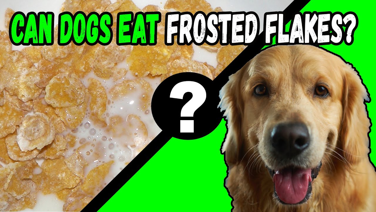 Can A Dog Eat Frosted Flakes?