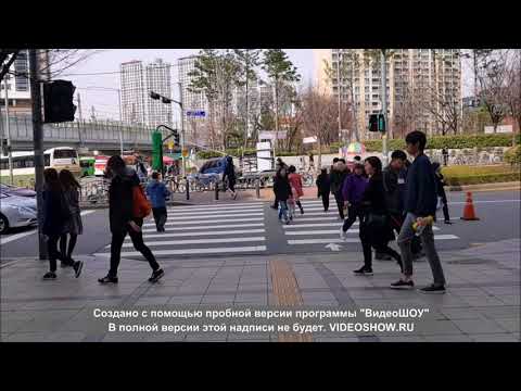 Video: Seuldan eng yaxshi kunlik sayohatlar