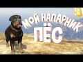 Мой напарник Пес | GTA 5 RP