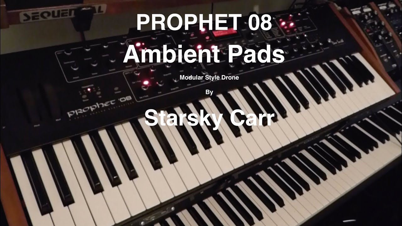 DRONES SE シンセサイザー 楽器/器材 【オンライン限定商品】 DTM