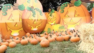 Needham Harvest Fair 2021