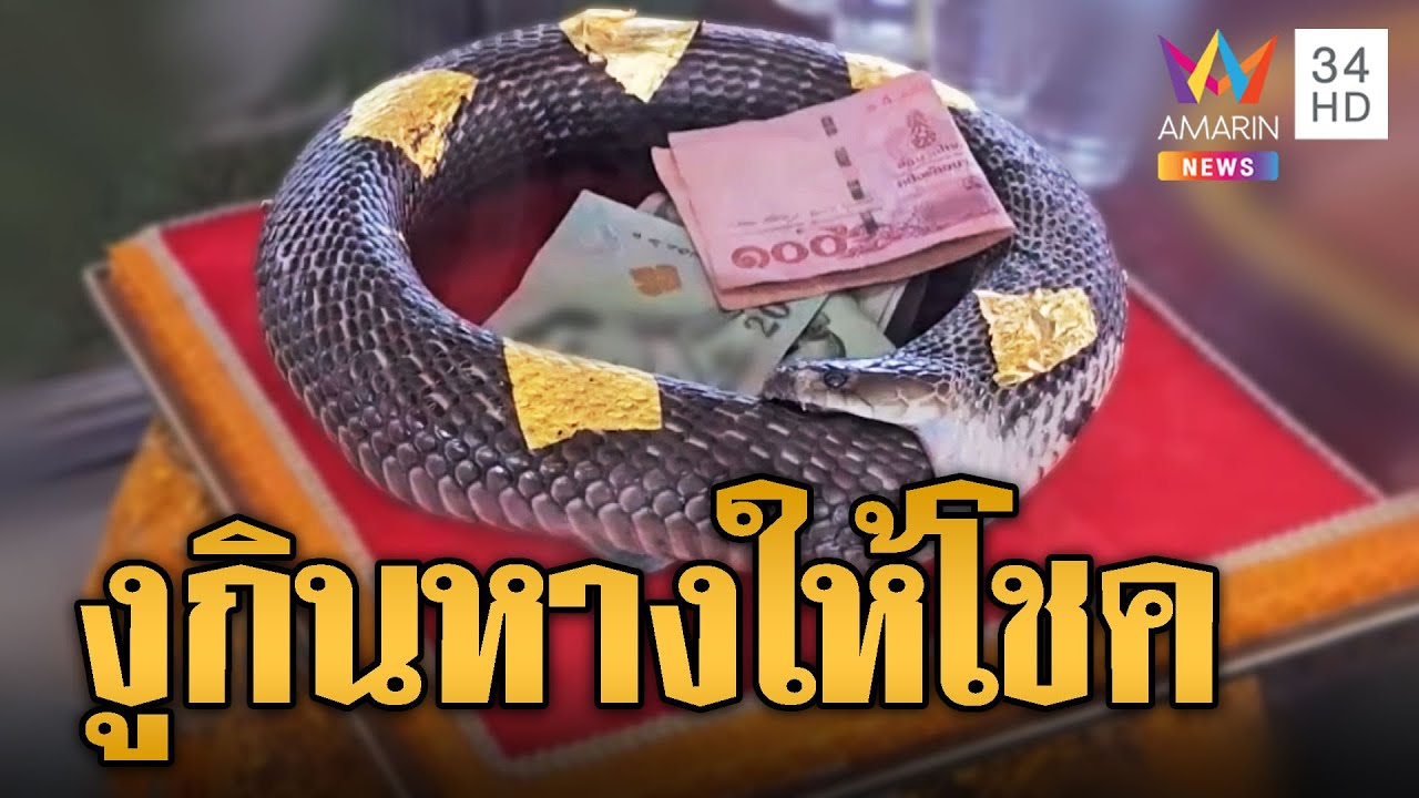 ฮือฮา! ชาวบ้านแห่ส่อง 'งูกินหาง' สภาพไม่เน่าเปื่อย เชื่อมาให้โชค | ข่าวอรุณอมรินทร์ | 24/1/68