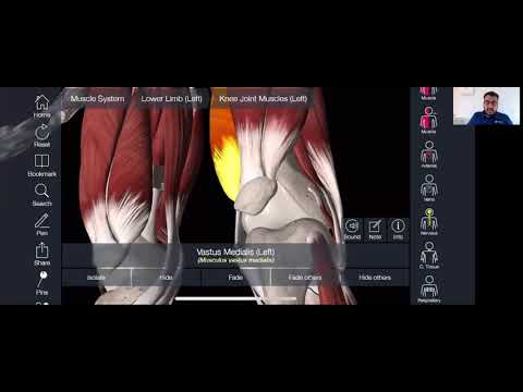 Kneecap Pain • Patella Maltracting • Chondromalacia Patallae | Activate Clinic Exercise Physiology