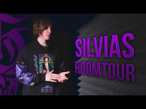 Видео: Silvias Days №1 - рум тур - где снимает видосы Silvias. Мой сетап для стримов. Feat @nikidron