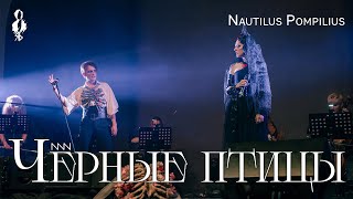 Ярослав Баярунас, Анна Тесс - Чёрные птицы (cover «Nautilus Pompilius»)