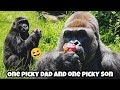 Father and son share one thing in common—a selective appetite! 😆🥬父子倆的共同點，就是對食物都很有自己的想法！