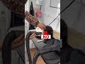会社猫ふくの日常😸毛が抜けてフケだらけで痒そうなので、出張エステで美しく変身✨#株式会社日章#トラック運送#会社猫#トリミングmeow