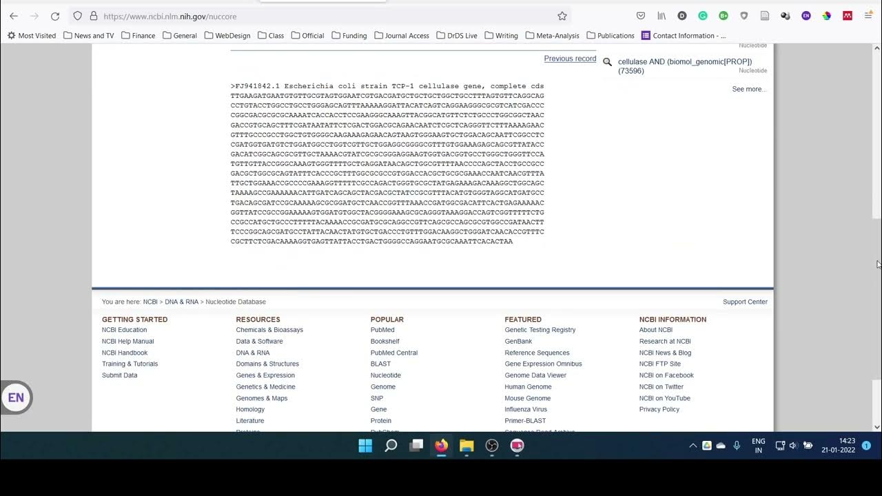 Global alignment of two sequences Emboss Needle YouTube
