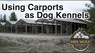 Using Carports to Cover Outdoor Dog Kennels
