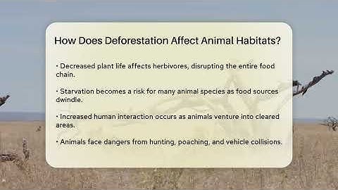 How Does Deforestation Affect Animal Habitats? - Ecosystem Essentials