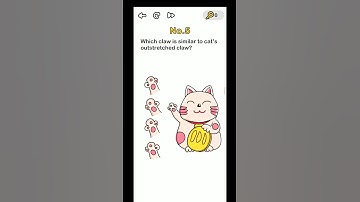 BRAIN OUT Level 4 [CAN YOU FIND OUT THE DIFFERENCE ONE walkthrough