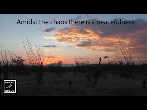 Building New Tucson Workshop, Dealing With County Violations, And Saying Good Bye Phoenix