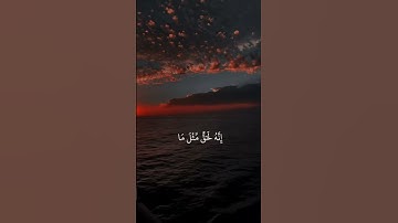 القارئ الشيخ فارس عباد - سورة الذاريات [٢٢-٢٣] ❤.