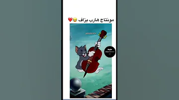 مانيني 