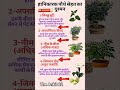 ये हानिकारक पौधे सेहत के दुश्मन हैं |