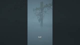 Which Shaders Is The Best Part Part 2