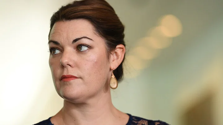 Sarah Hanson-Young 'has no idea what media diversi...